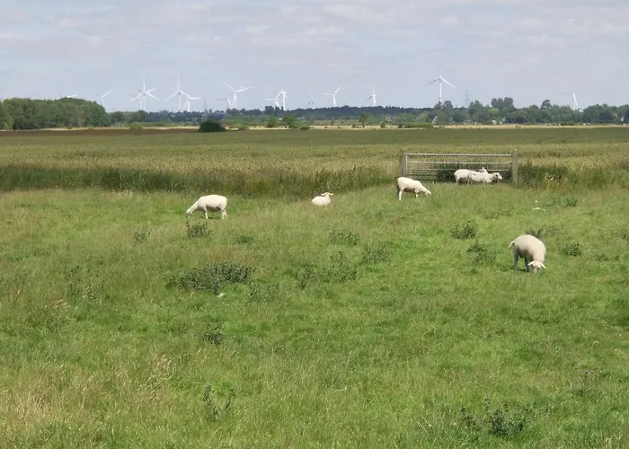 Apartamento Marschblick Sudermarsch